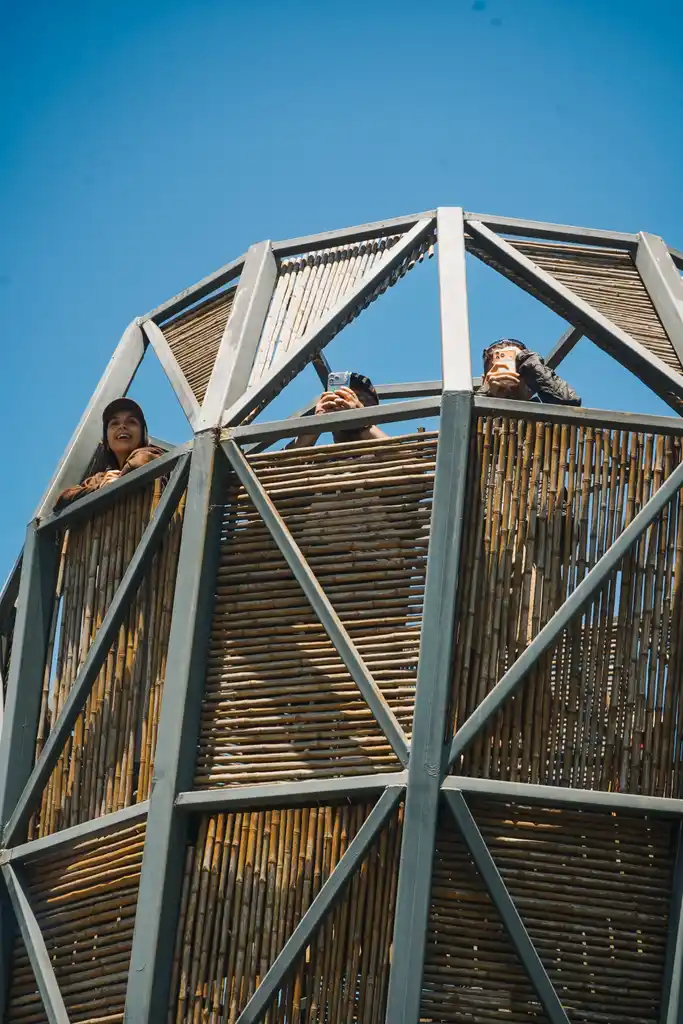 El fundador de Patagonia, Yvon Chouinard, donó la propiedad de la compañía para combatir la crisis climática global