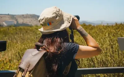 Biodiversidad, deporte y cultura local: la apuesta turística de San Antonio, la comuna de la Región de Valparaíso que se encuentra a tan solo 90 minutos de Santiago