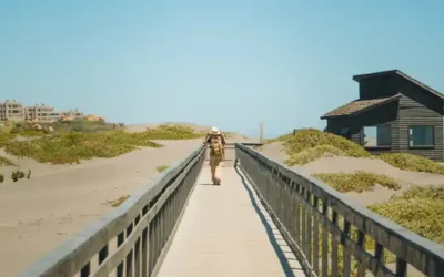 Humedal Río Maipo: un tesoro ecológico de la Región de Valparaíso diseñado para convivir con la naturaleza