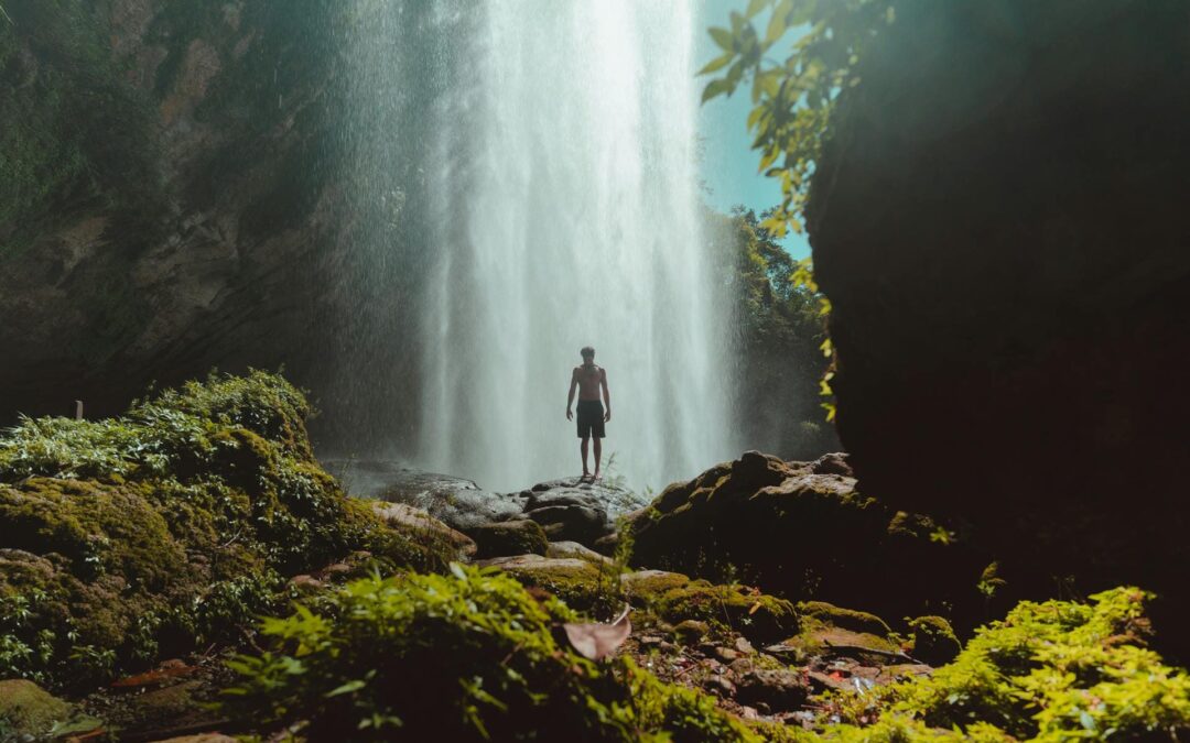 Estudio liderado por académica de la Universidad Adolfo Ibáñez revela que el cerebro exige de la naturaleza para revertir el agotamiento digital