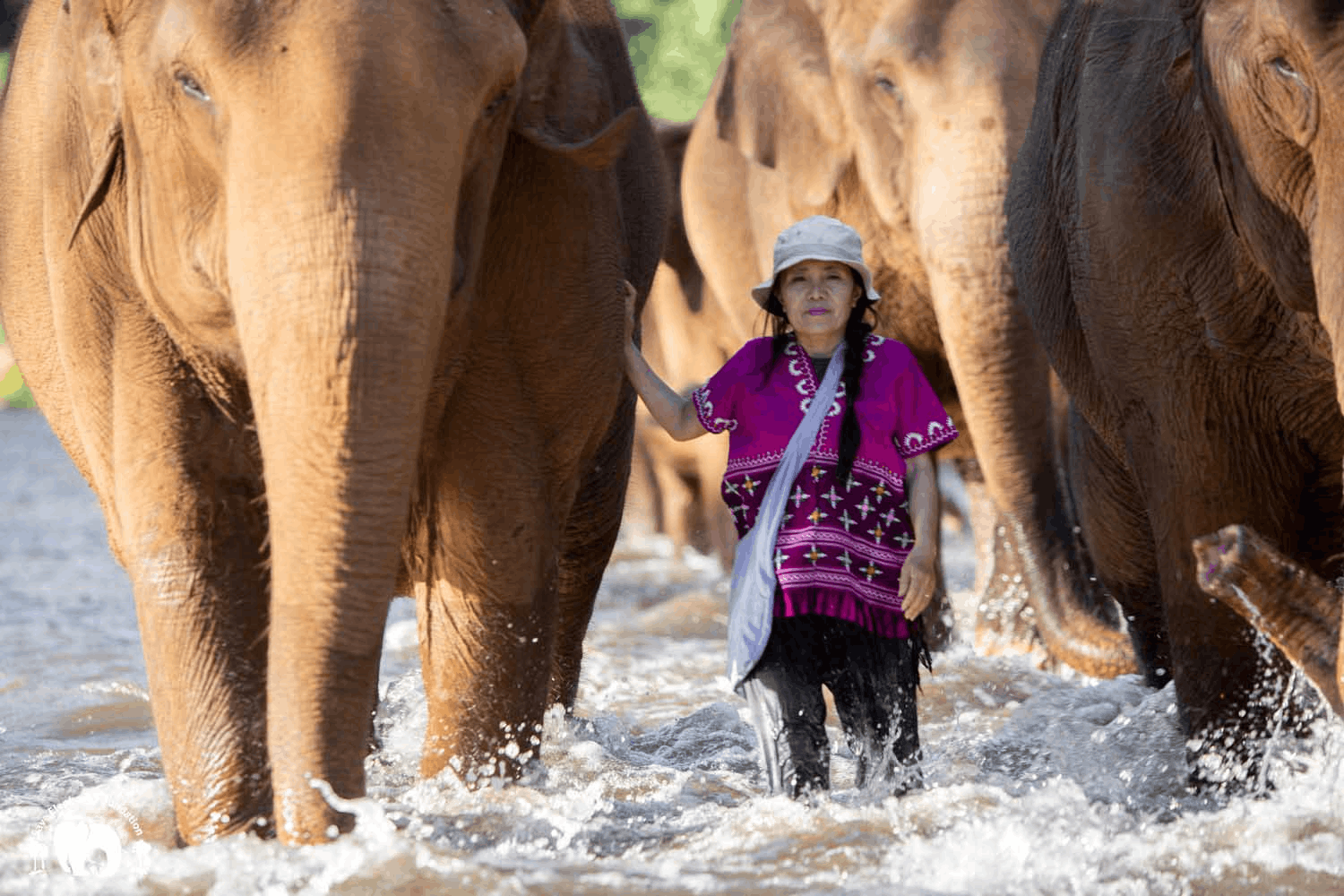 El fundador de Patagonia, Yvon Chouinard, donó la propiedad de la compañía para combatir la crisis climática global
