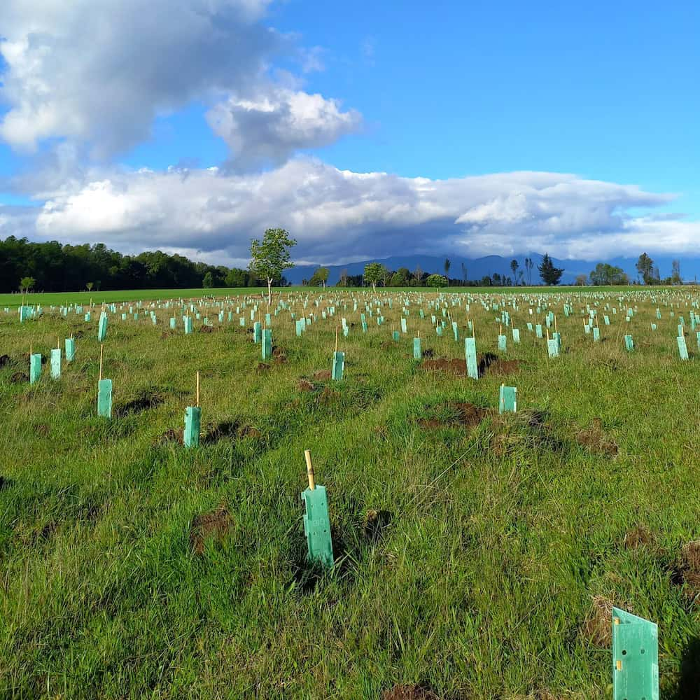 El fundador de Patagonia, Yvon Chouinard, donó la propiedad de la compañía para combatir la crisis climática global
