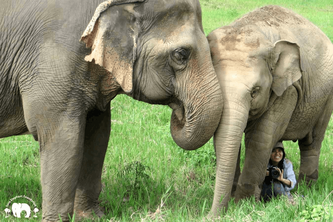 El fundador de Patagonia, Yvon Chouinard, donó la propiedad de la compañía para combatir la crisis climática global