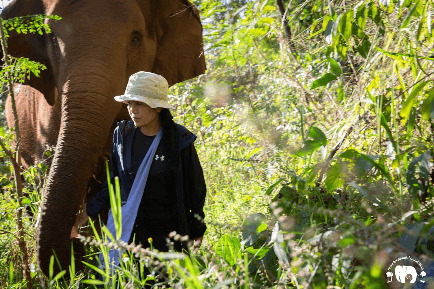 El fundador de Patagonia, Yvon Chouinard, donó la propiedad de la compañía para combatir la crisis climática global