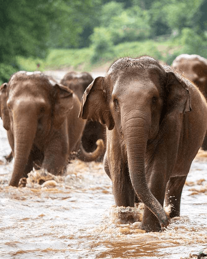 El fundador de Patagonia, Yvon Chouinard, donó la propiedad de la compañía para combatir la crisis climática global