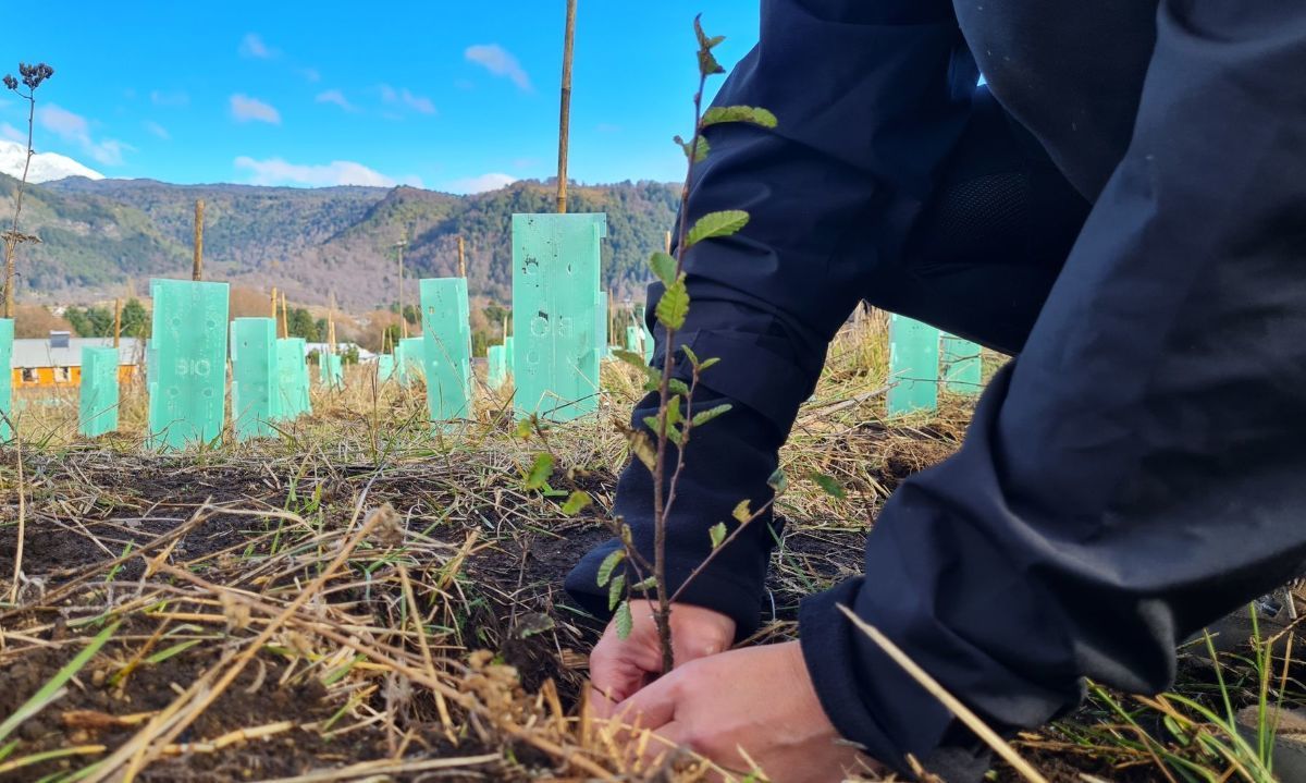 El fundador de Patagonia, Yvon Chouinard, donó la propiedad de la compañía para combatir la crisis climática global