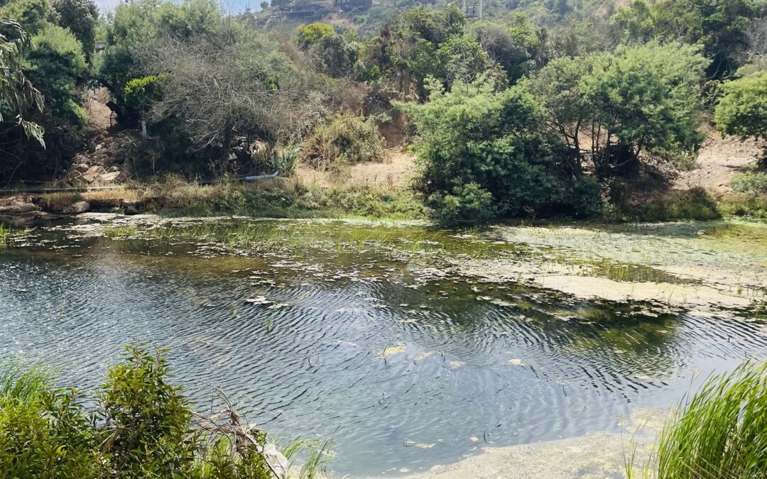 ERED: el encuentro que busca conectar a quienes trabajan por la protección de los ecosistemas en la costa norte de la Región de Valparaíso
