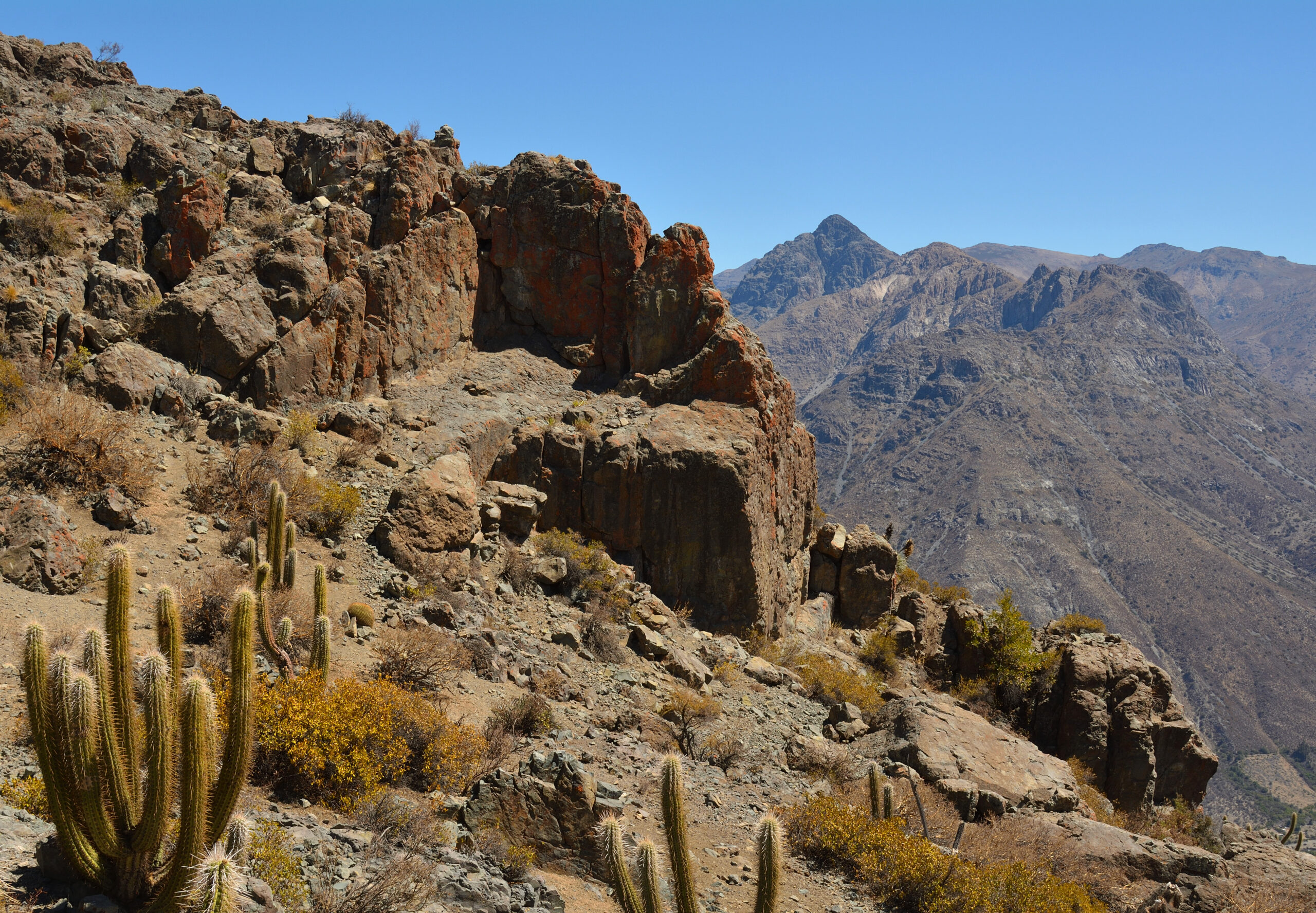El fundador de Patagonia, Yvon Chouinard, donó la propiedad de la compañía para combatir la crisis climática global