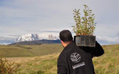 ¡Tremendo! Stanley plantará un árbol nativo por cada producto vendido de su nueva colección