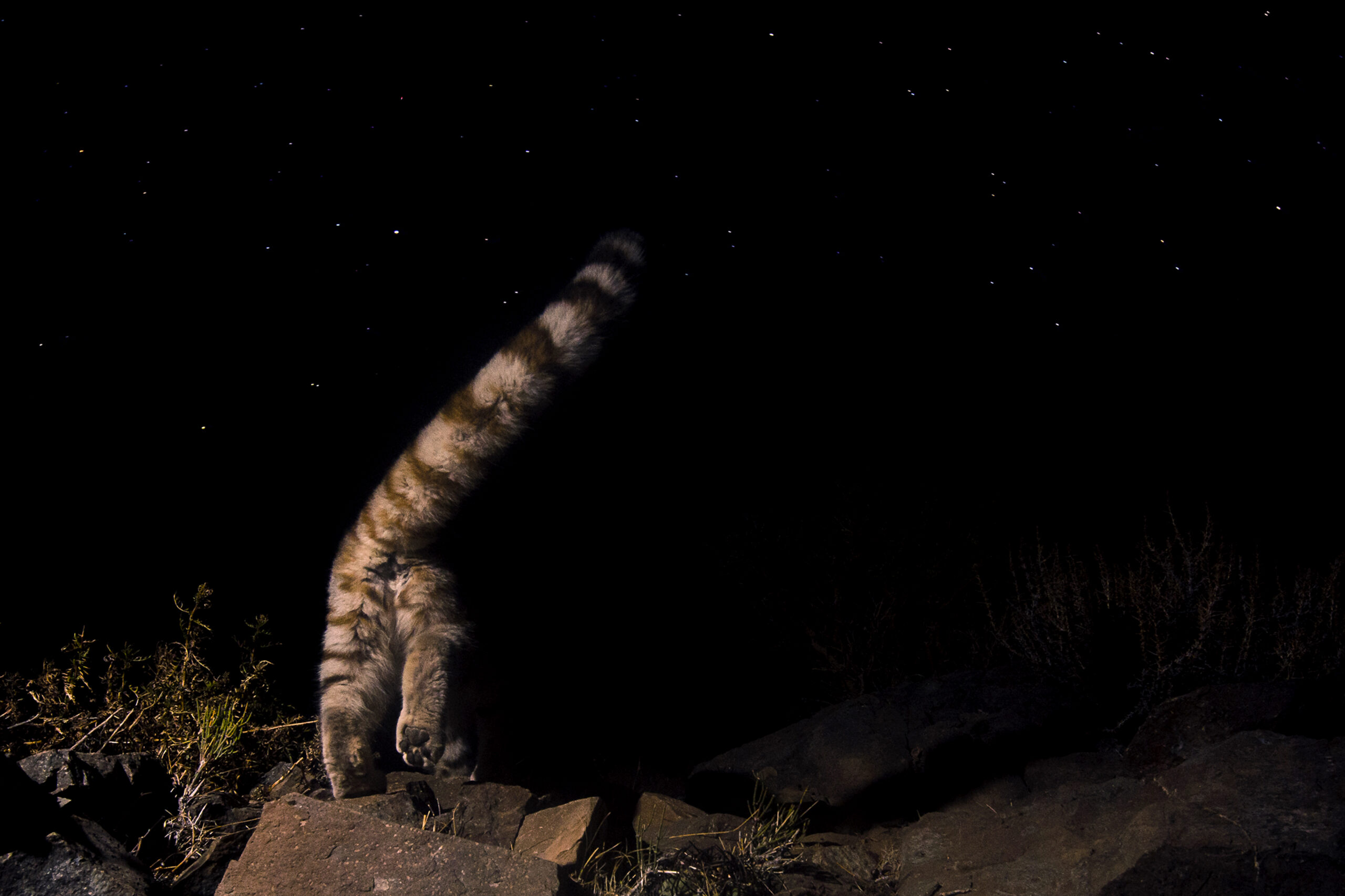 El fundador de Patagonia, Yvon Chouinard, donó la propiedad de la compañía para combatir la crisis climática global