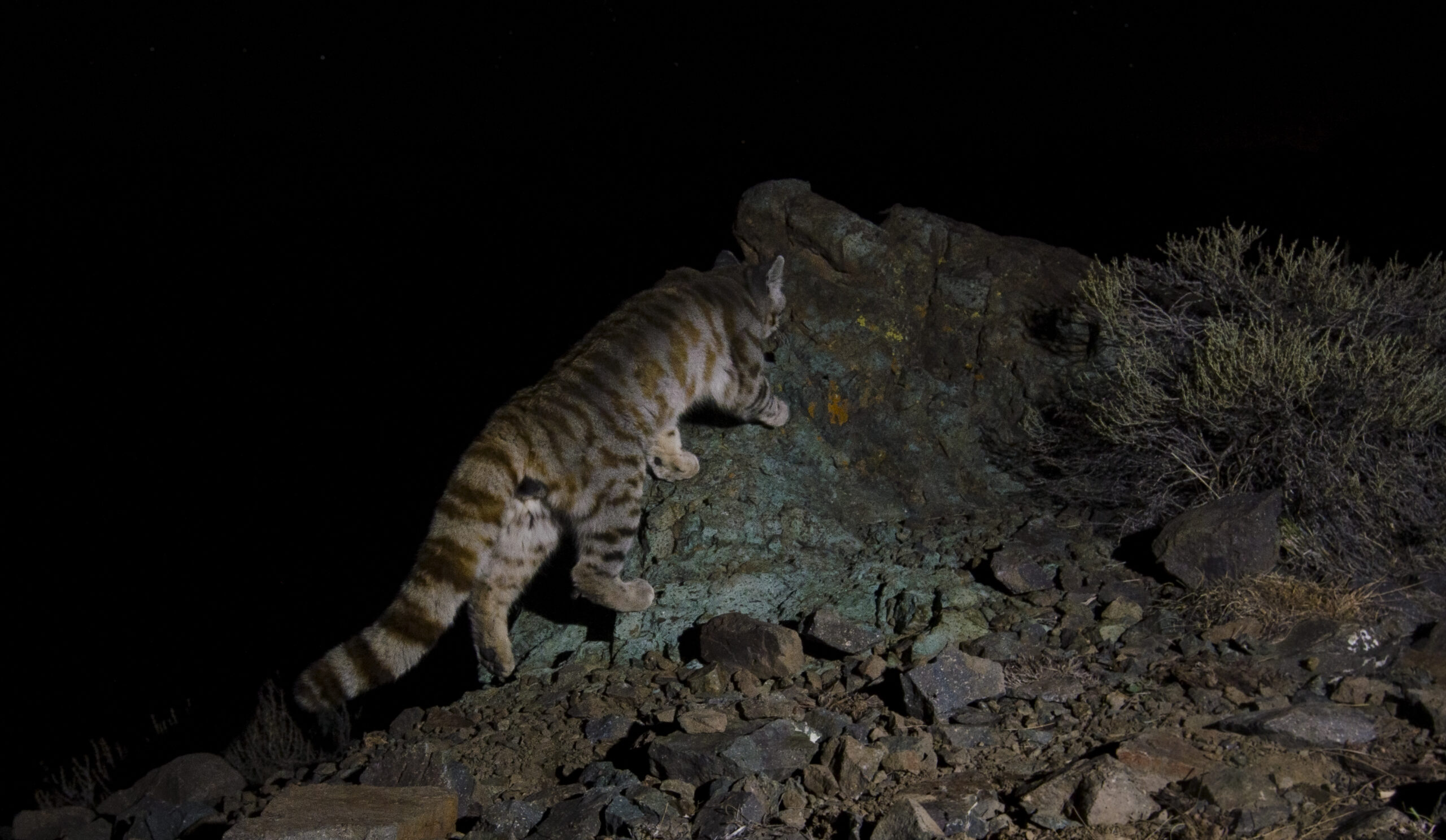 El fundador de Patagonia, Yvon Chouinard, donó la propiedad de la compañía para combatir la crisis climática global