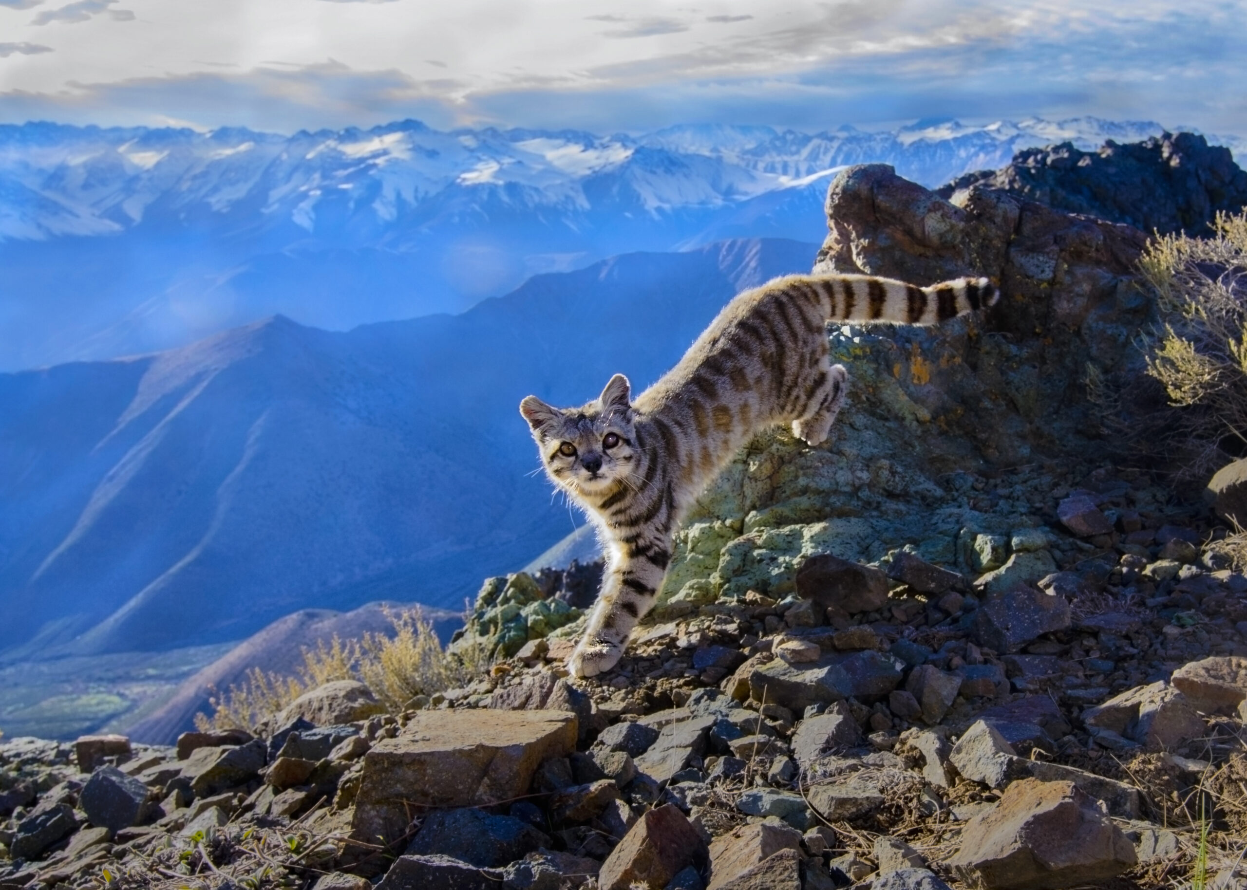 El fundador de Patagonia, Yvon Chouinard, donó la propiedad de la compañía para combatir la crisis climática global