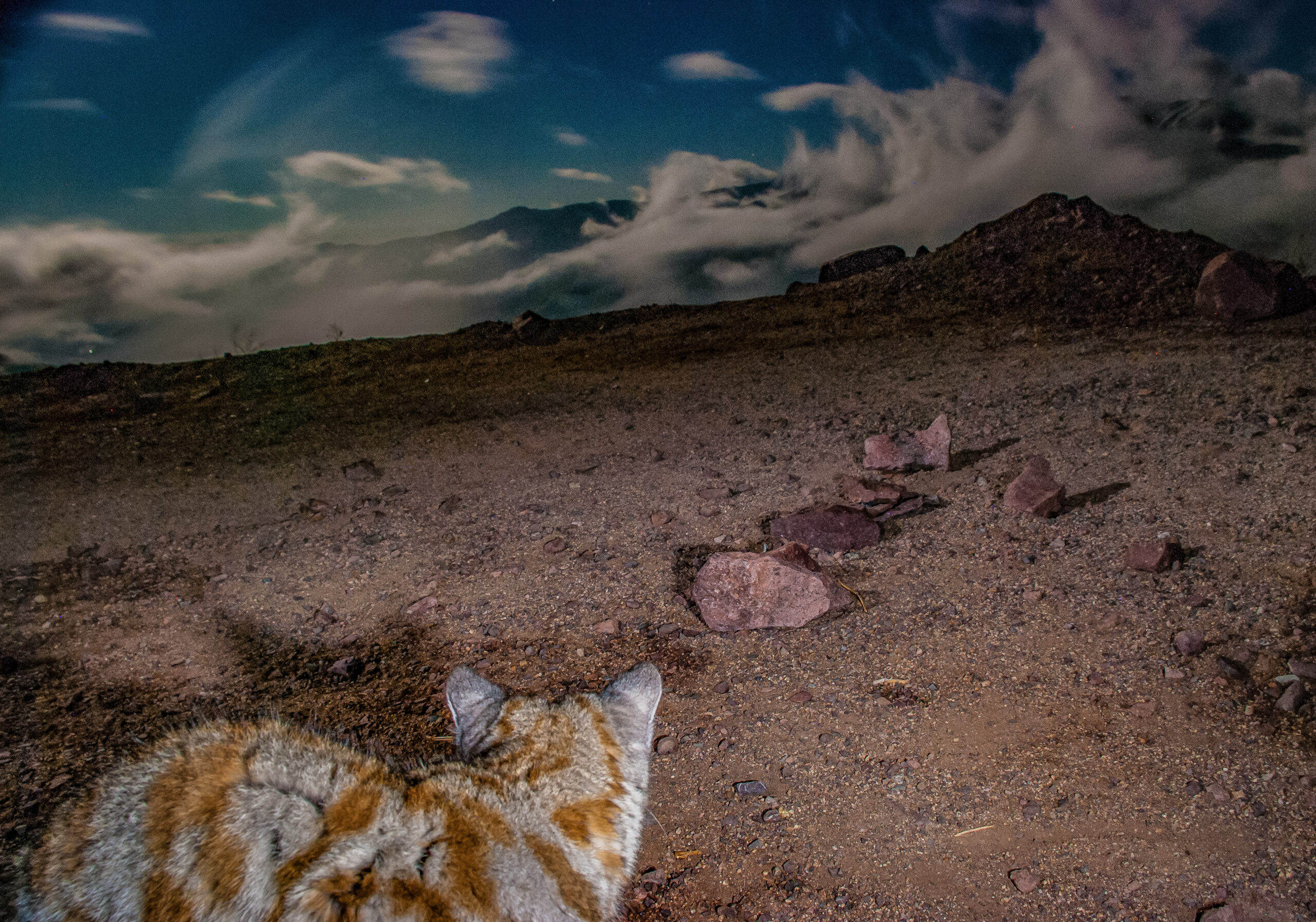 El fundador de Patagonia, Yvon Chouinard, donó la propiedad de la compañía para combatir la crisis climática global