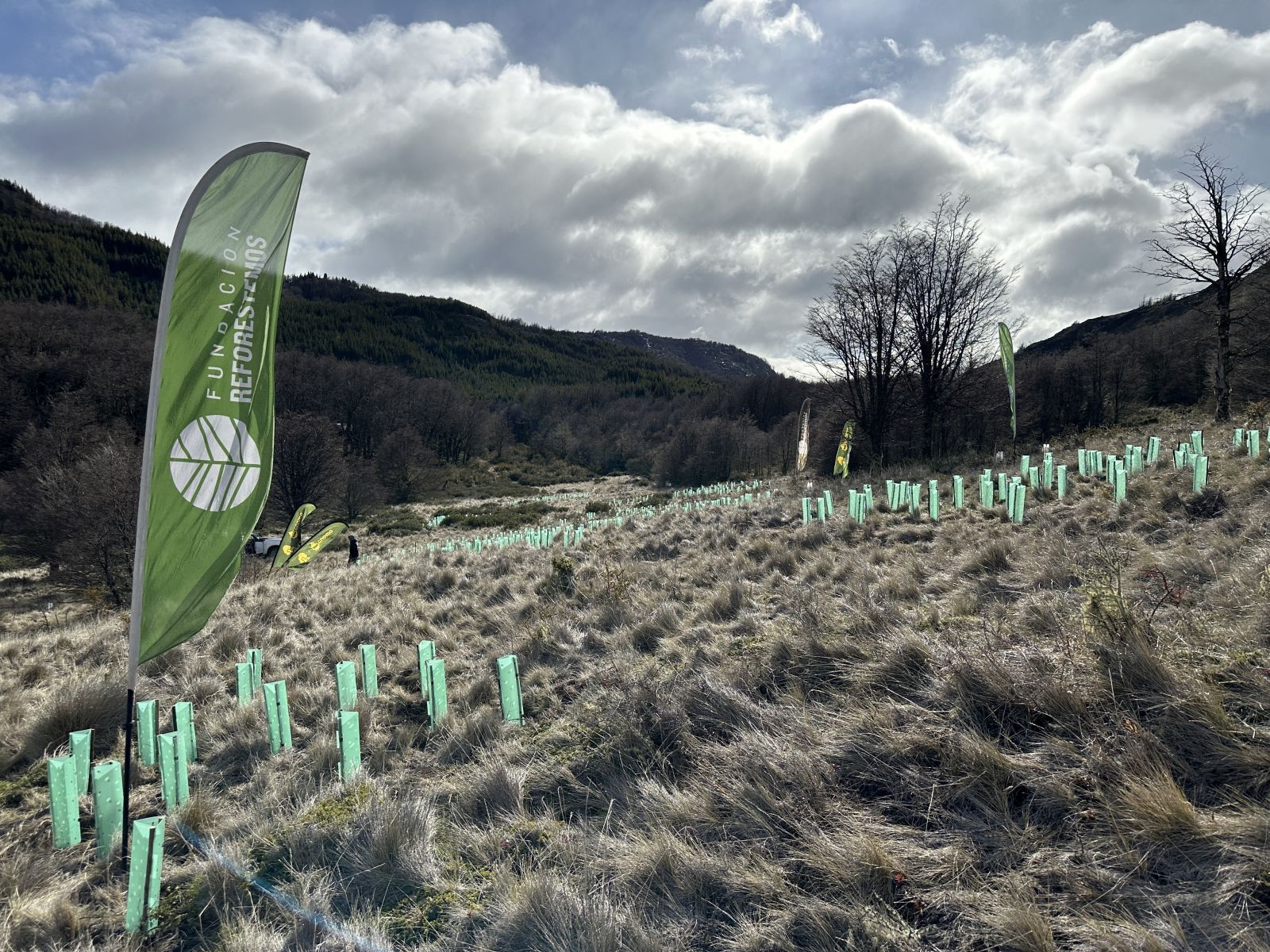 El fundador de Patagonia, Yvon Chouinard, donó la propiedad de la compañía para combatir la crisis climática global