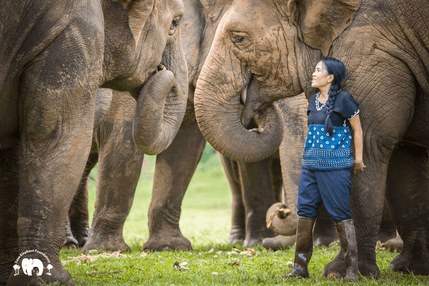 El fundador de Patagonia, Yvon Chouinard, donó la propiedad de la compañía para combatir la crisis climática global