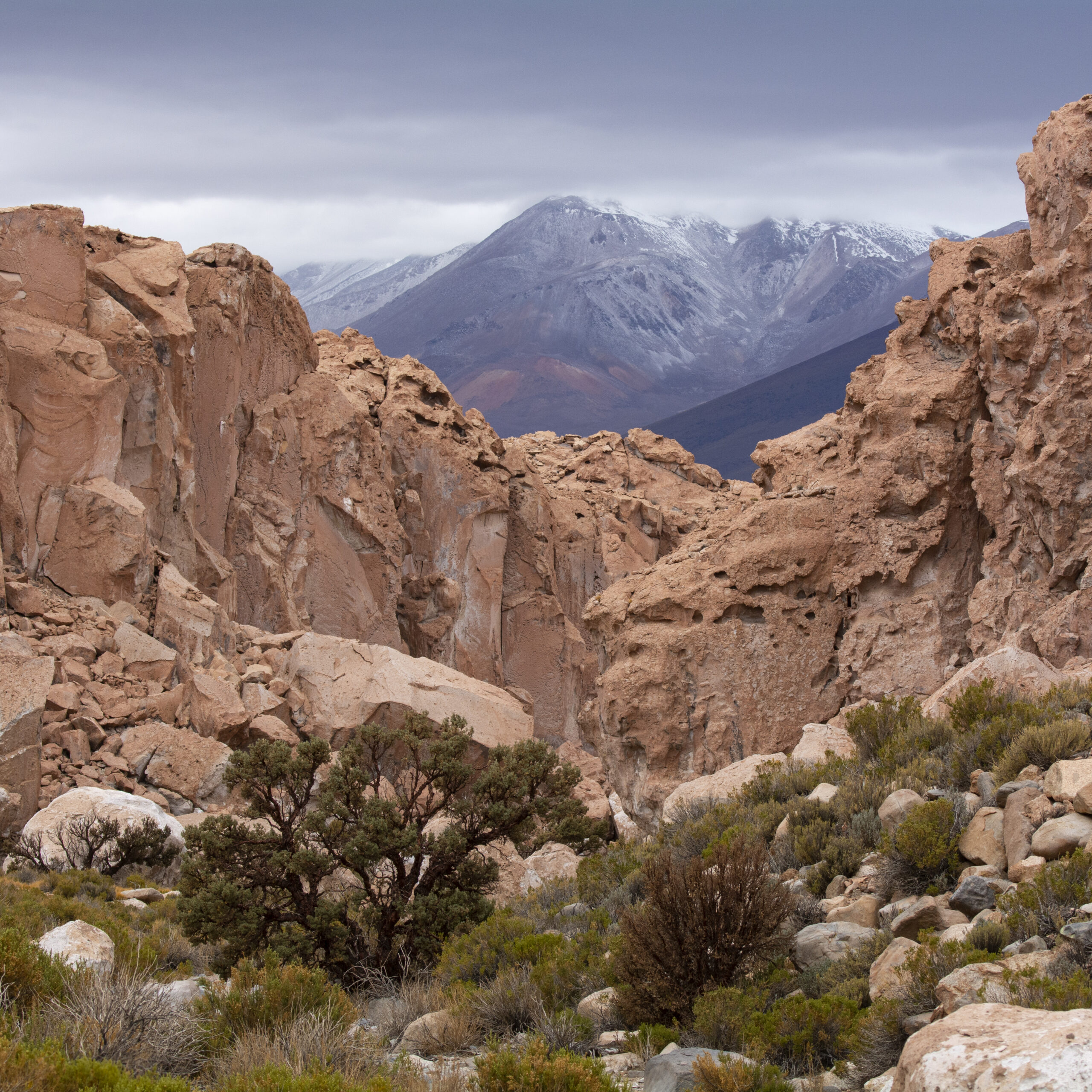 El fundador de Patagonia, Yvon Chouinard, donó la propiedad de la compañía para combatir la crisis climática global
