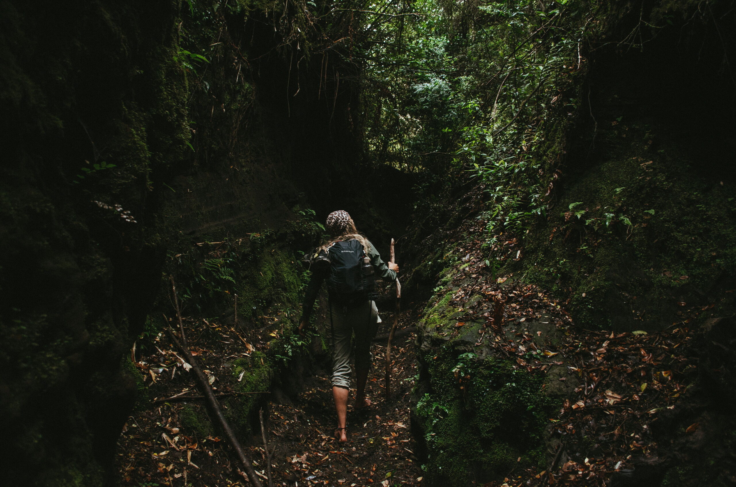 El fundador de Patagonia, Yvon Chouinard, donó la propiedad de la compañía para combatir la crisis climática global