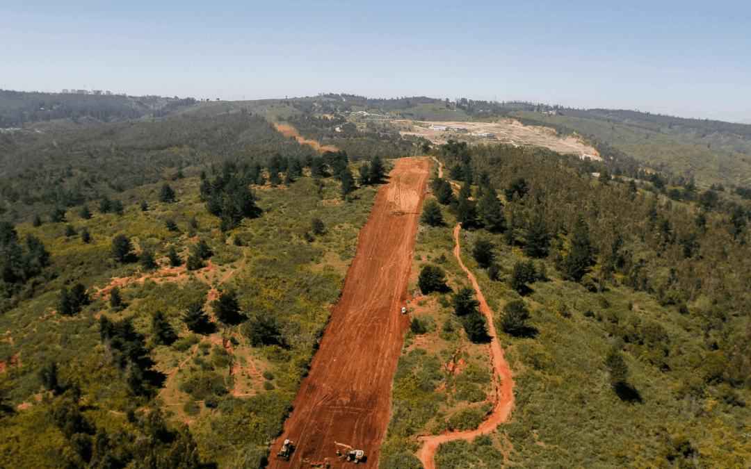 Cortafuegos naturales en Chile: cómo la vegetación ayuda a ralentizar los incendios y por qué no son una solución suficiente