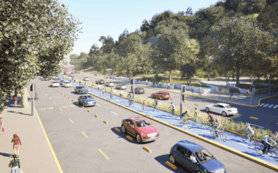 Ciclovía en pausa: el costo de frenar la movilidad sustentable en la Nueva Alameda